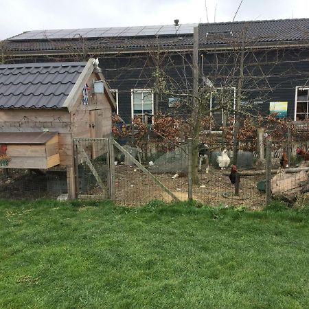 Hoeve Cornelia Berkel en Rodenrijs Buitenkant foto